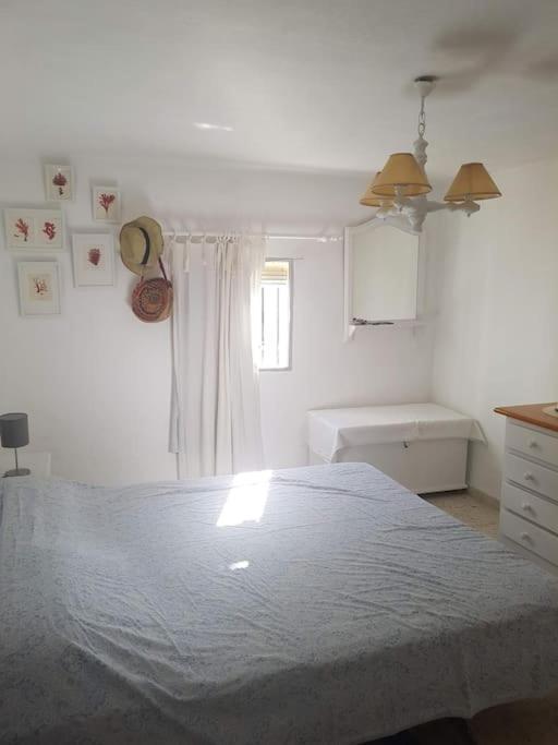 莫拉尔岛Casa En Punta Del Moral别墅 外观 照片